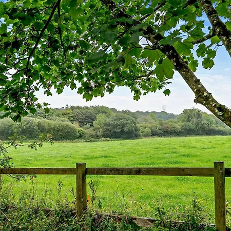 Holiday home 1 Bed In Liskeard 89250